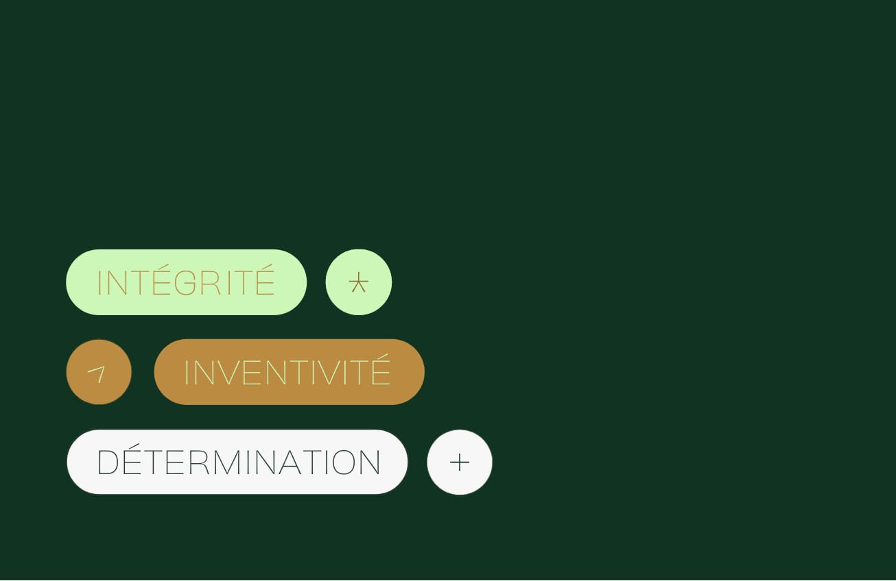 Un fond vert foncé avec trois boutons. Les mots « INTÉGRITÉ » sont en vert clair, « INVENTIVITÉ » en jaune moutarde et « DÉTERMINATION » en blanc. Chacun d'eux est accompagné d'un petit symbole, comme une étoile ou un signe plus, à côté du texte.